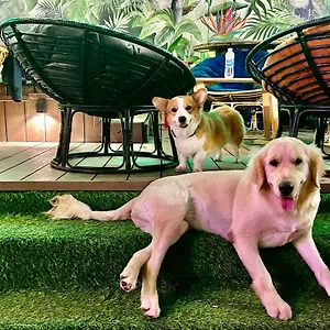 Rom Casa Hostel Da Nang